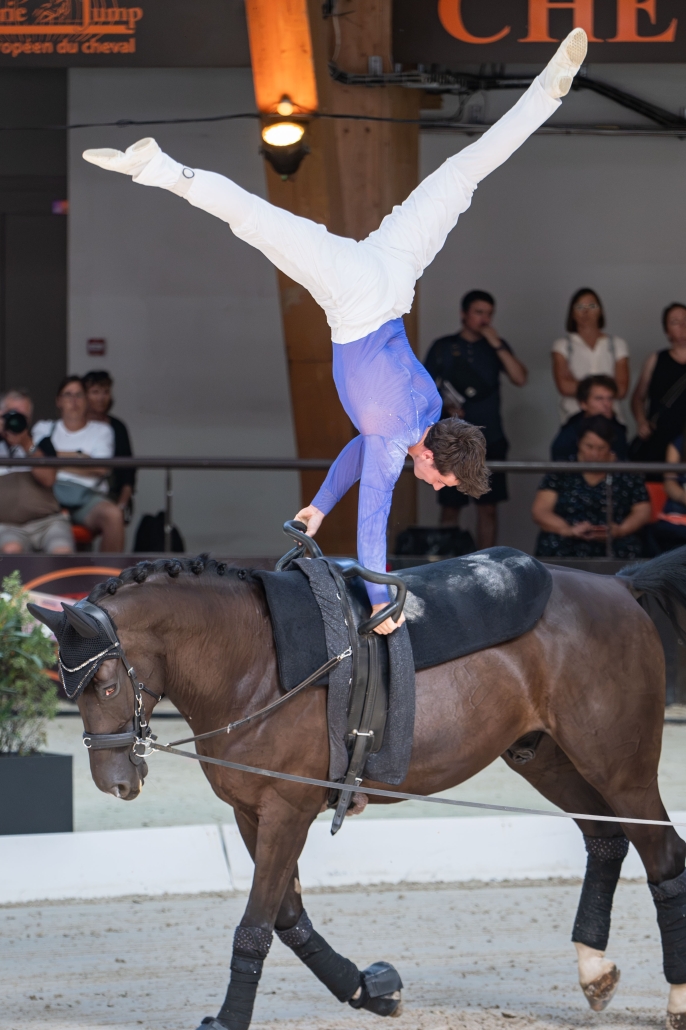 © The Vaulting Review