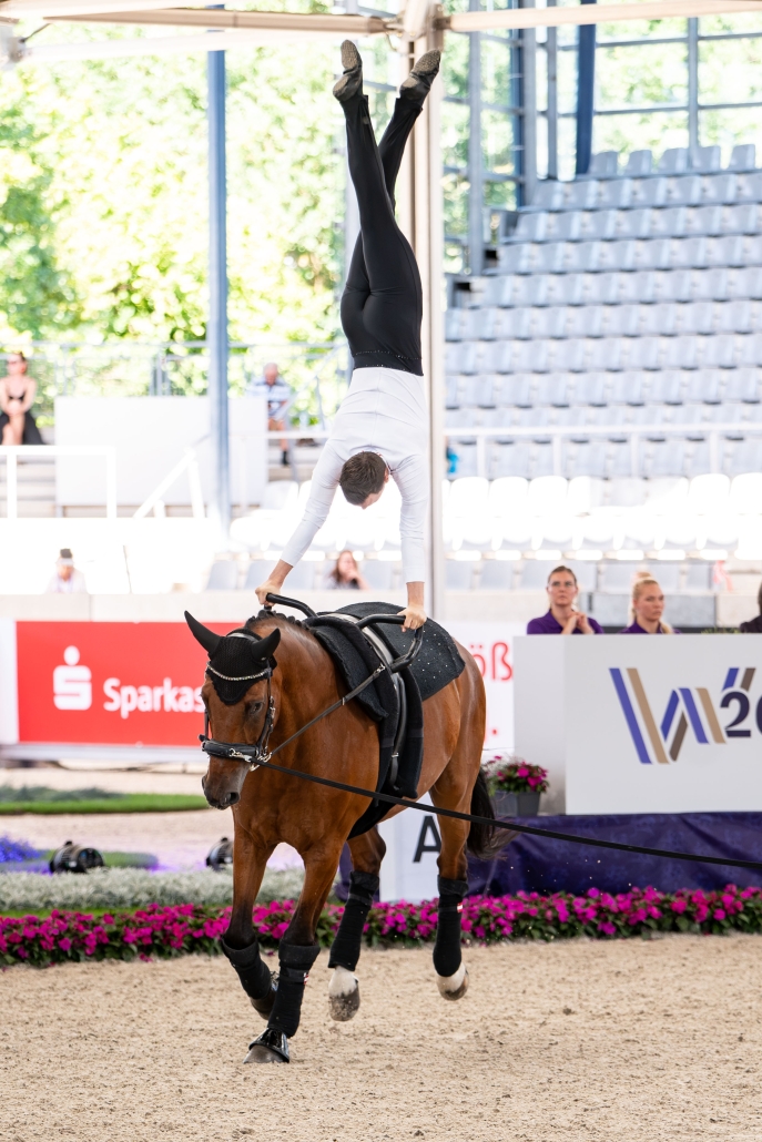 © The Vaulting Review