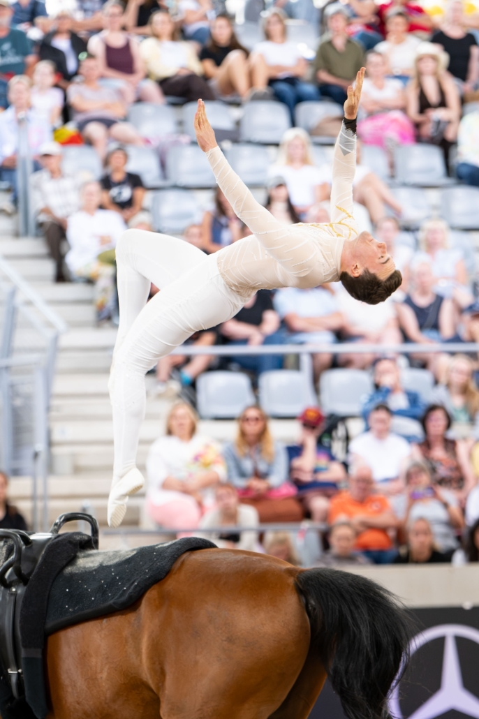 © The Vaulting Review