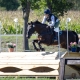 Charlotte Dobretsberger trug mit ihrem Sieg in der CCI3*-Prüfung wesentlich zum Erfolg von Team NÖ in der BLMM bei. © Michael Graf