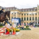 Bereits am Donnerstag, dem ersten Tag der Longines Global Champions Tour Vienna, standen die ersten internationalen Springbewerbe auf dem Programm. © Christian Husar
