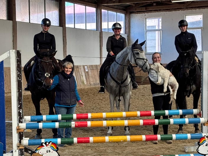 GeförderterSpringkurs_SylviaGoiser_Siegersdorf_cprivat (5)