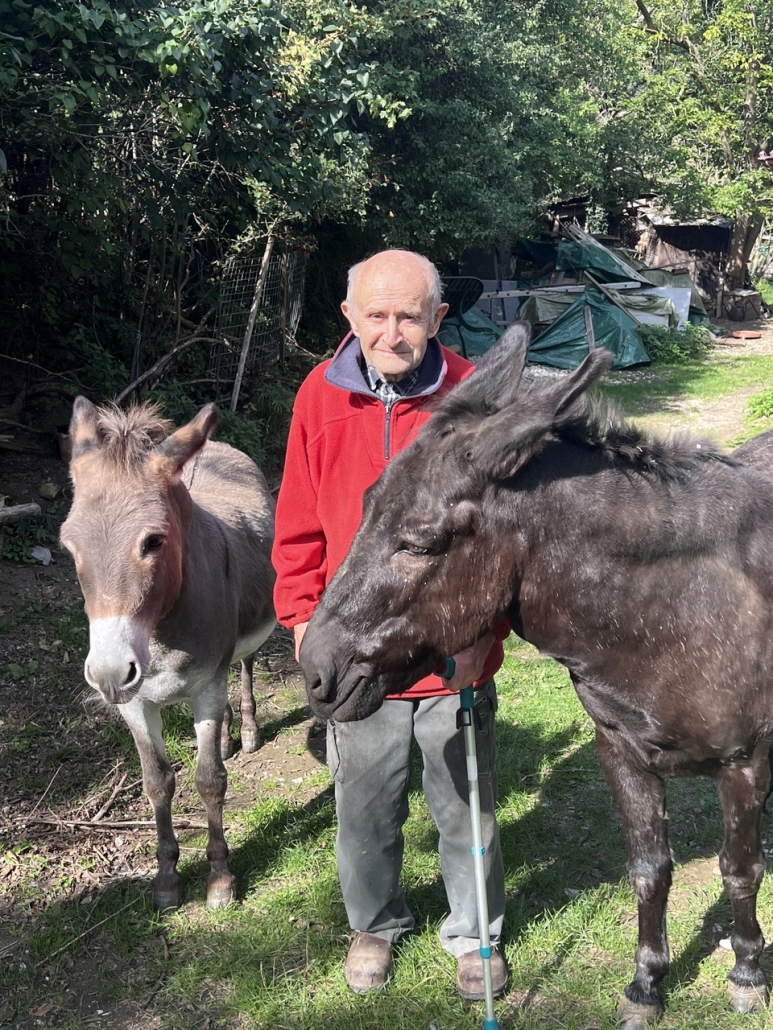 Dr. Binder mit seinen Eseln Loisi (grau) und Otti (braungrau). © privat